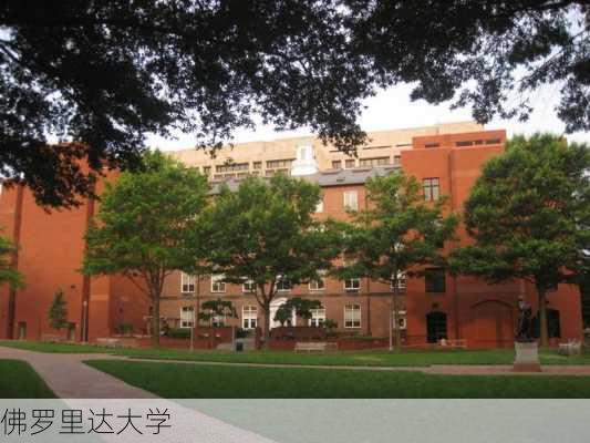 佛罗里达大学