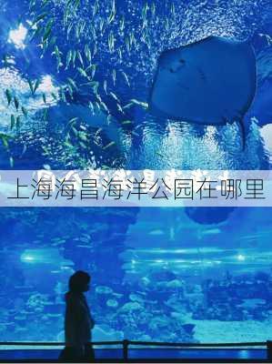 上海海昌海洋公园在哪里