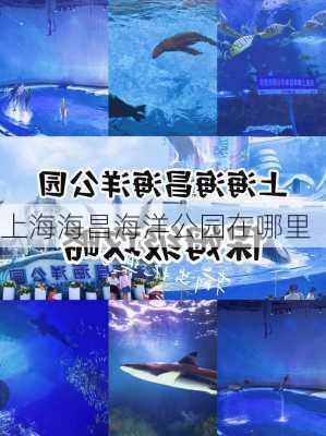 上海海昌海洋公园在哪里