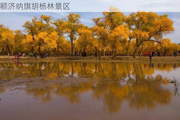 额济纳旗胡杨林景区