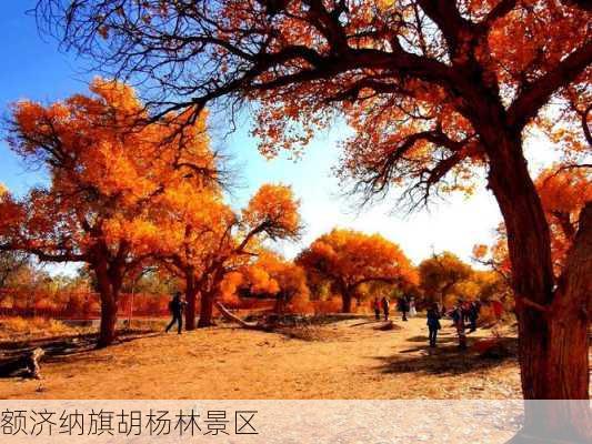 额济纳旗胡杨林景区