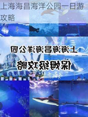 上海海昌海洋公园一日游攻略