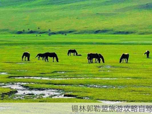 锡林郭勒盟旅游攻略自驾