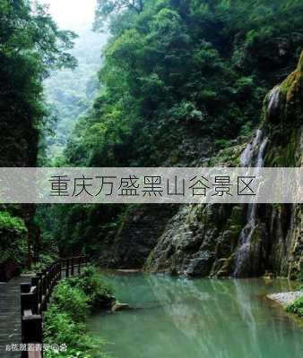 重庆万盛黑山谷景区