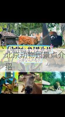 北京动物园景点介绍