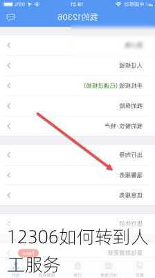 12306如何转到人工服务