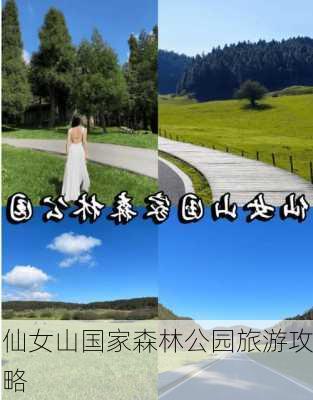 仙女山国家森林公园旅游攻略