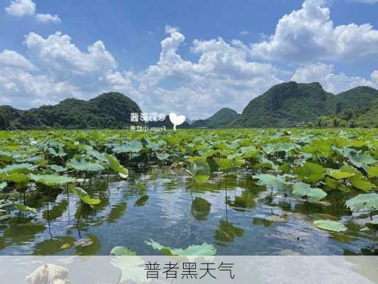 普者黑天气