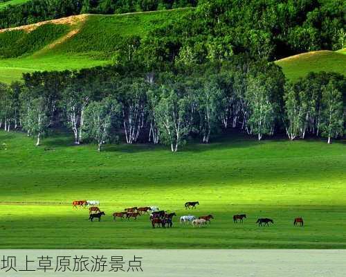 坝上草原旅游景点