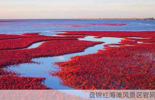 盘锦红海滩风景区官网