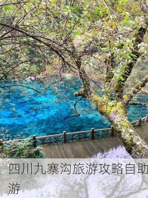 四川九寨沟旅游攻略自助游