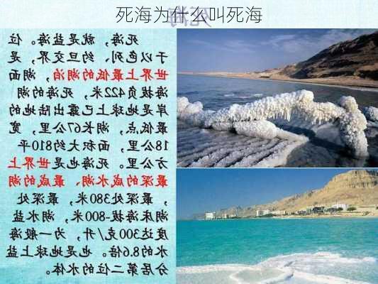 死海为什么叫死海