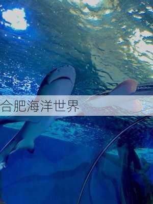 合肥海洋世界