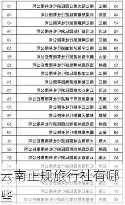 云南正规旅行社有哪些