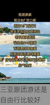 三亚跟团游还是自由行比较好