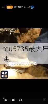 mu5735最大尸块