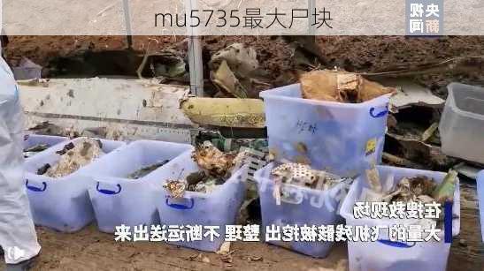 mu5735最大尸块