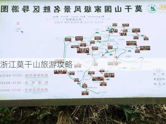 浙江莫干山旅游攻略