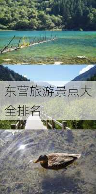 东营旅游景点大全排名