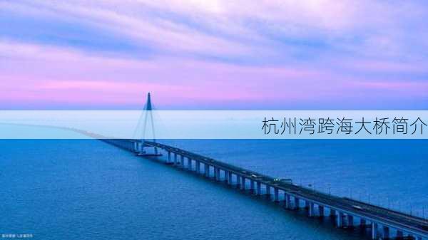 杭州湾跨海大桥简介