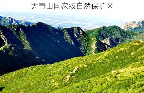 大青山国家级自然保护区