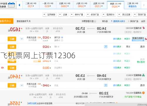飞机票网上订票12306
