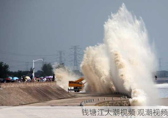 钱塘江大潮视频 观潮视频