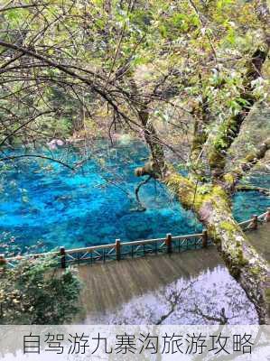 自驾游九寨沟旅游攻略