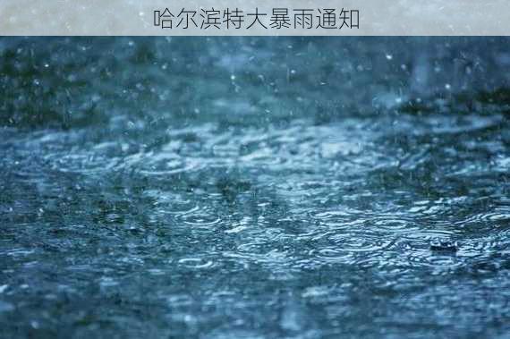 哈尔滨特大暴雨通知