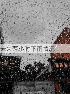 未来两小时下雨情况