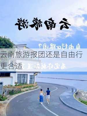 云南旅游报团还是自由行更合适