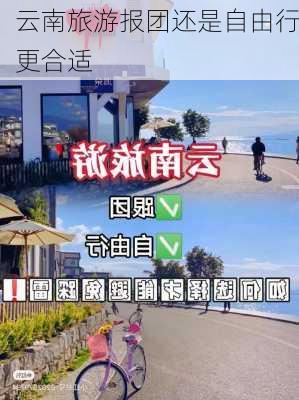 云南旅游报团还是自由行更合适