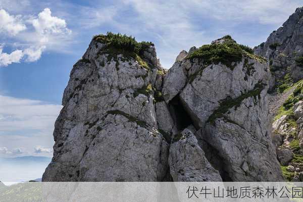 伏牛山地质森林公园