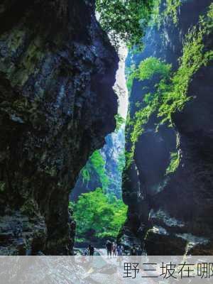 野三坡在哪