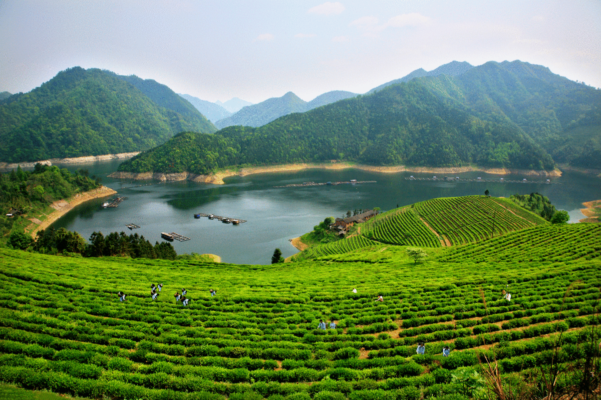 佛山附近的自驾游景点