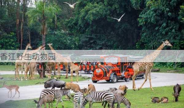 香江野生动物园