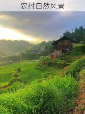 农村自然风景