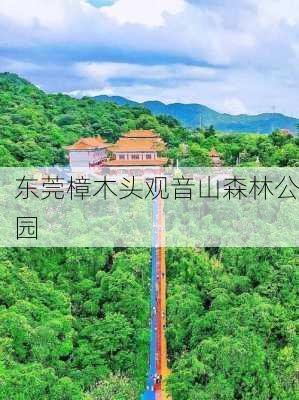 东莞樟木头观音山森林公园