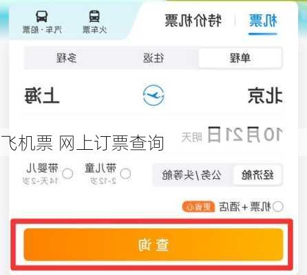 飞机票 网上订票查询