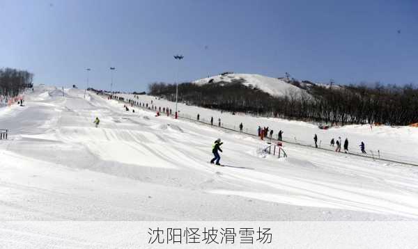 沈阳怪坡滑雪场