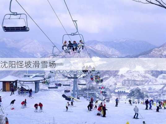 沈阳怪坡滑雪场