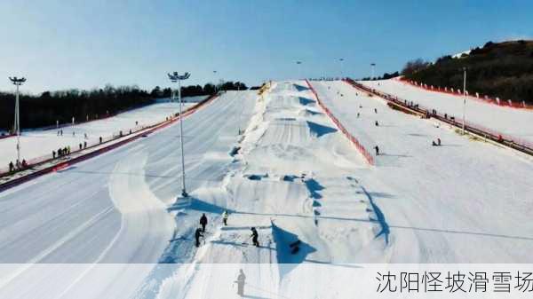 沈阳怪坡滑雪场