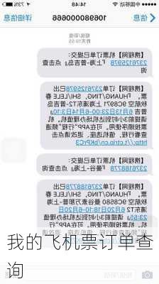 我的飞机票订单查询