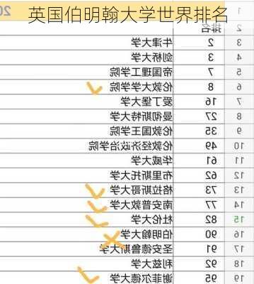 英国伯明翰大学世界排名
