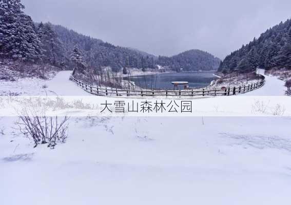 大雪山森林公园