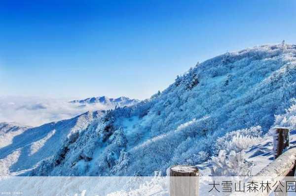 大雪山森林公园