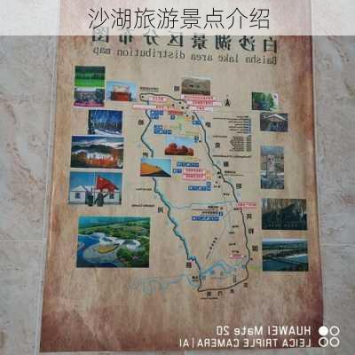 沙湖旅游景点介绍