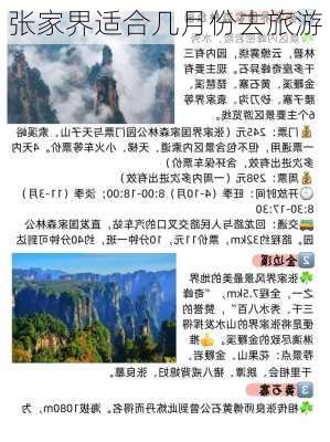 张家界适合几月份去旅游