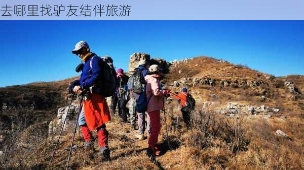 去哪里找驴友结伴旅游