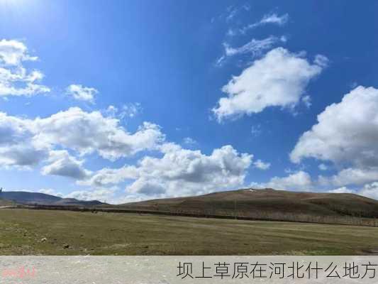 坝上草原在河北什么地方